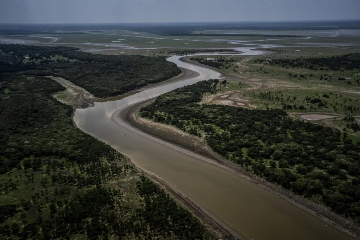 La deforestación en la Amazonía brasileña se desploma casi un 57 % en septiembre