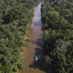 Latinos de los 100 más comprometidos con el verde se unirán a una campaña por la Amazonía