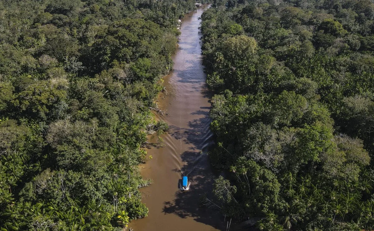 Latinos de “los 100” más comprometidos con el verde se unirán a una campaña por la Amazonía