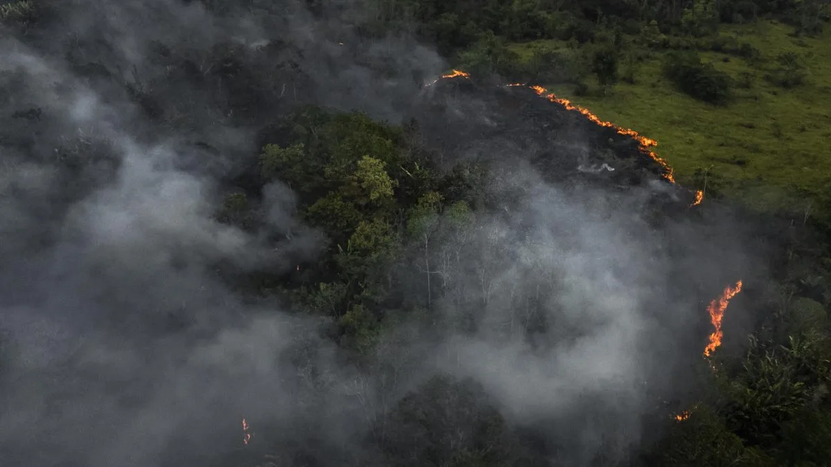 Los incendios forestales en la Amazonía brasileña suben un 52,3 % con la actual sequía