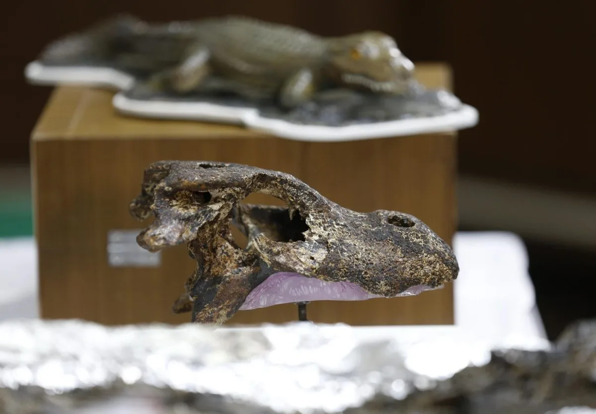 Tailandia presenta una nueva especie extinta de aligátor que vivió en el Pleistoceno