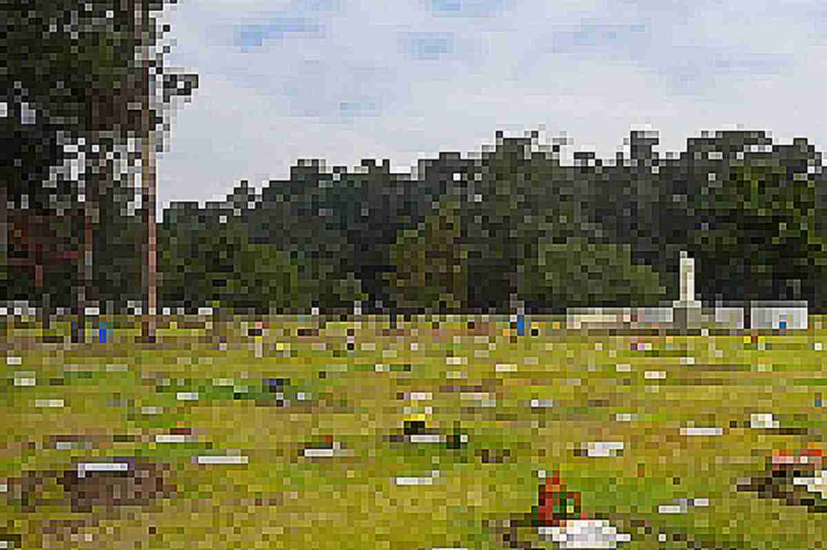 La tragedia del niño que murió en un cementerio de Bogotá por una rama podrida-