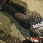Un motociclista mata a un fletero que intentó robarlo en Medellín-Altos del Poblado-barrio El Poblado