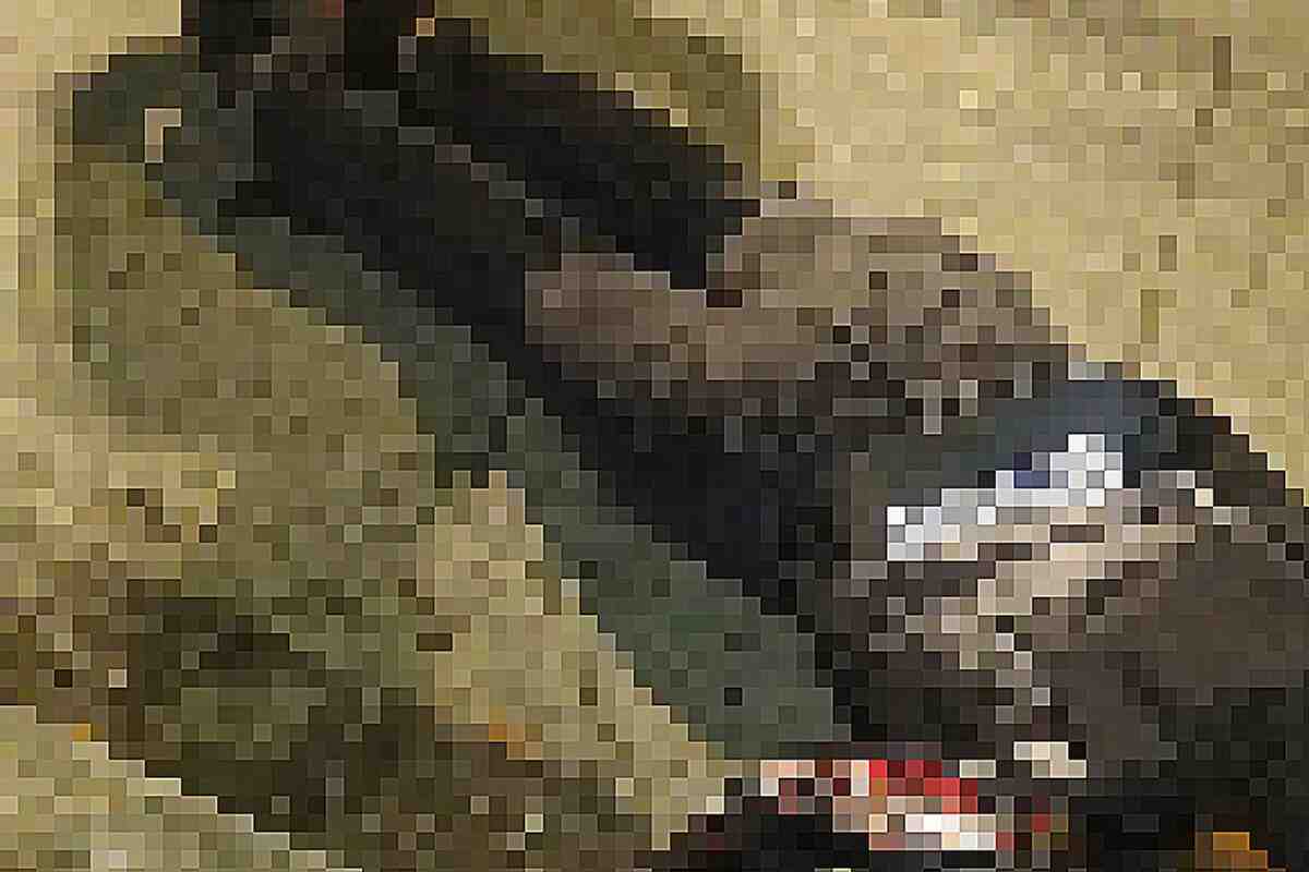 Un motociclista mata a un fletero que intentó robarlo en Medellín-Altos del Poblado-barrio El Poblado