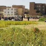 Tragedia en Afganistán: siete temblores sacuden la provincia de Herat y causan decenas de víctimas-sismos