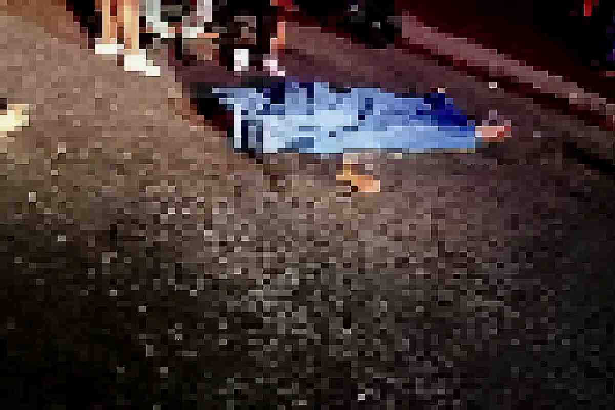 Familia es asesinada a tiros en Tlalnepantla tras ser interceptada por sujetos armados