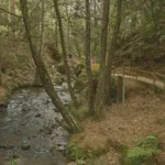 La dramática situación financiera del Parque Arví que lo tiene al borde del colapso