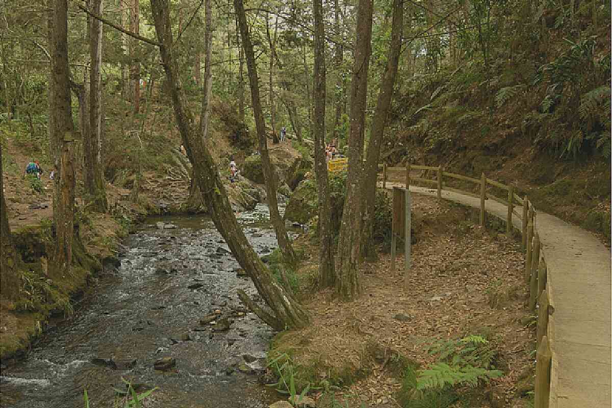 La dramática situación financiera del Parque Arví que lo tiene al borde del colapso