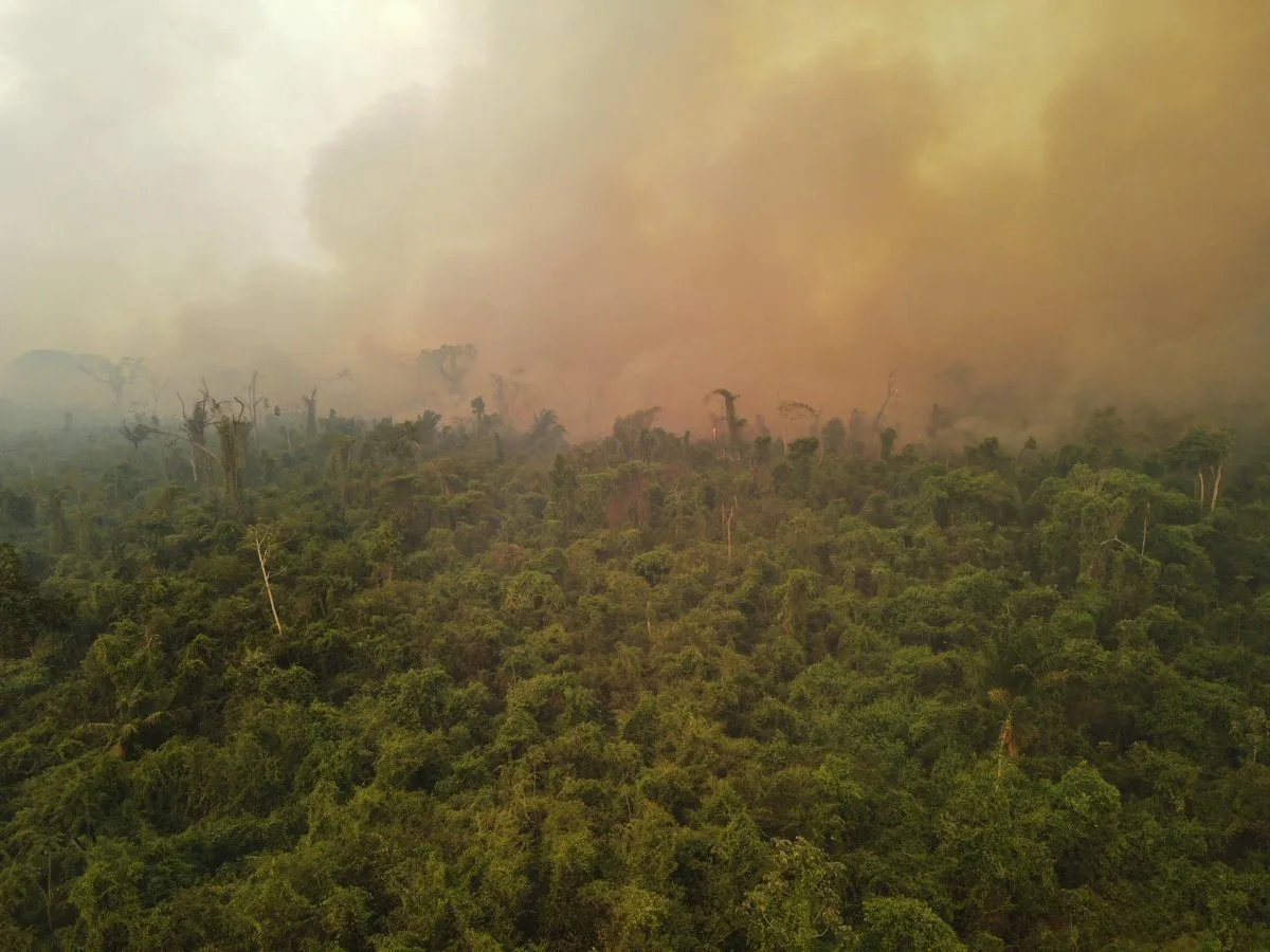 Bolivia recibe la ayuda de Francia y Chile para su lucha contra los incendios forestales