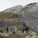 Colombia se vuelca en la conservación del cóndor andino, su ave nacional