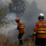 Fuego y coacción en el Pantanal