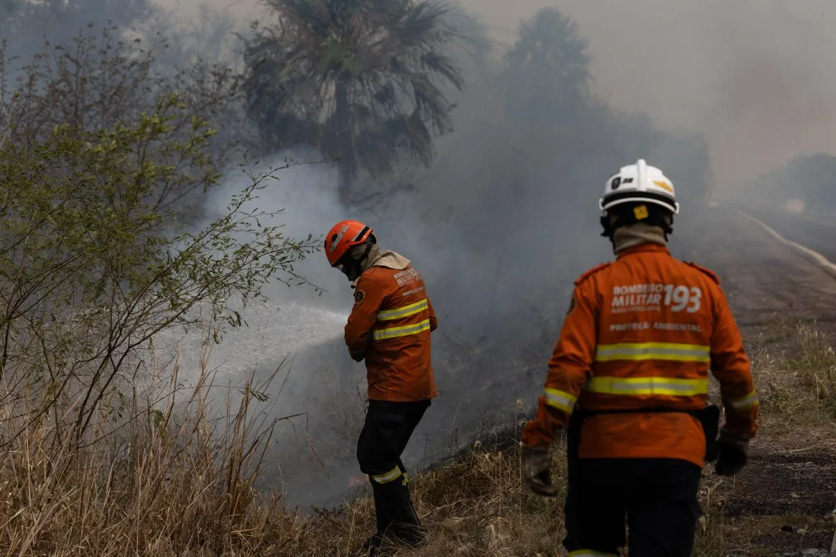 Fuego y coacción en el Pantanal