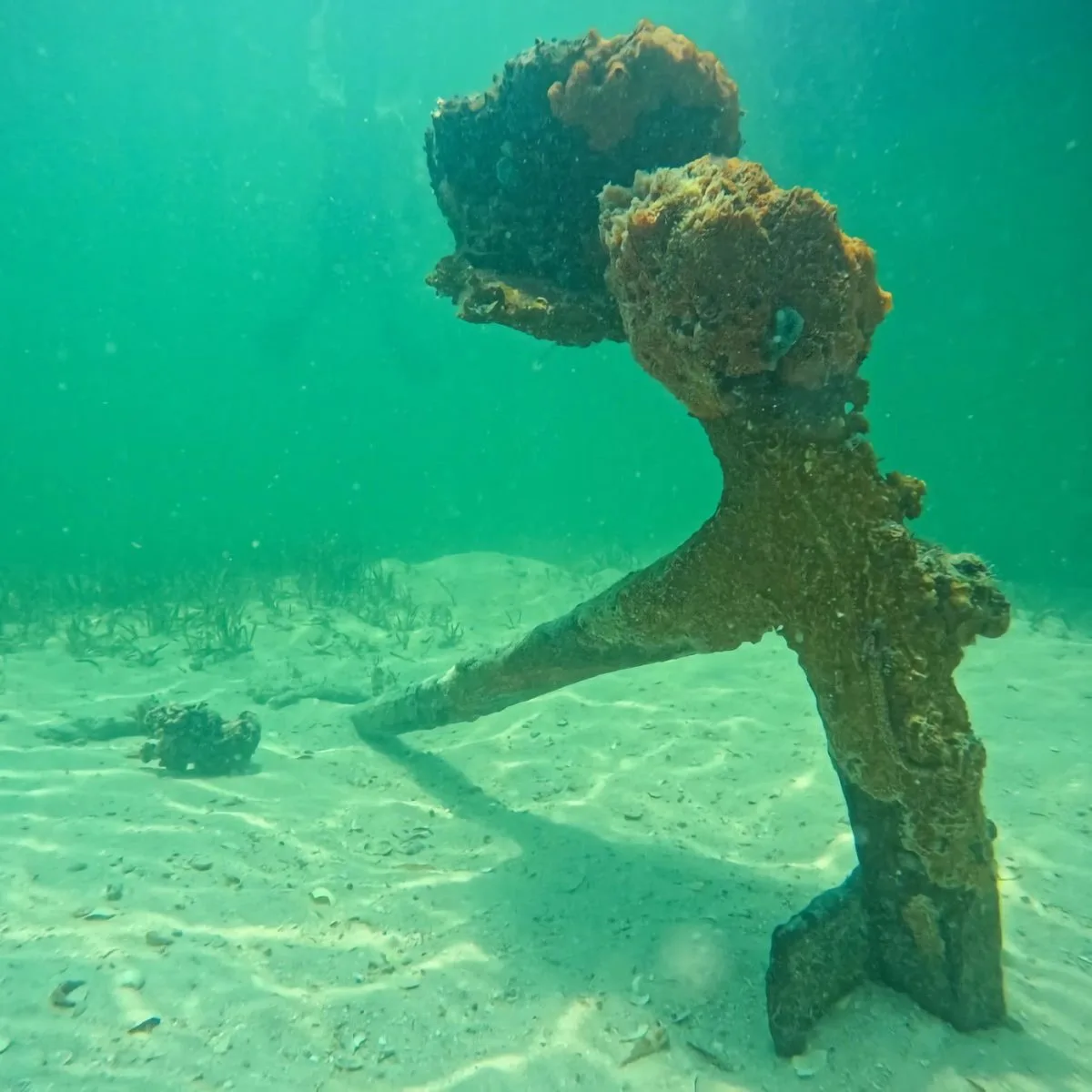 Hallan el ancla de un barco de vapor que naufragó en 1906 en Florida con 100 personas