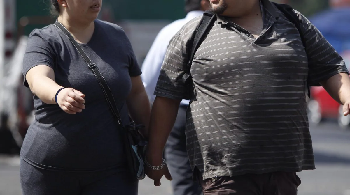 La obesidad podría no ser el único vínculo entre los ultraprocesados y ciertos cánceres