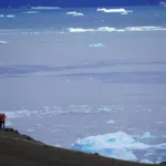 Llamamiento a resguardar la biodiversidad en el Día de la Antártica Chilena