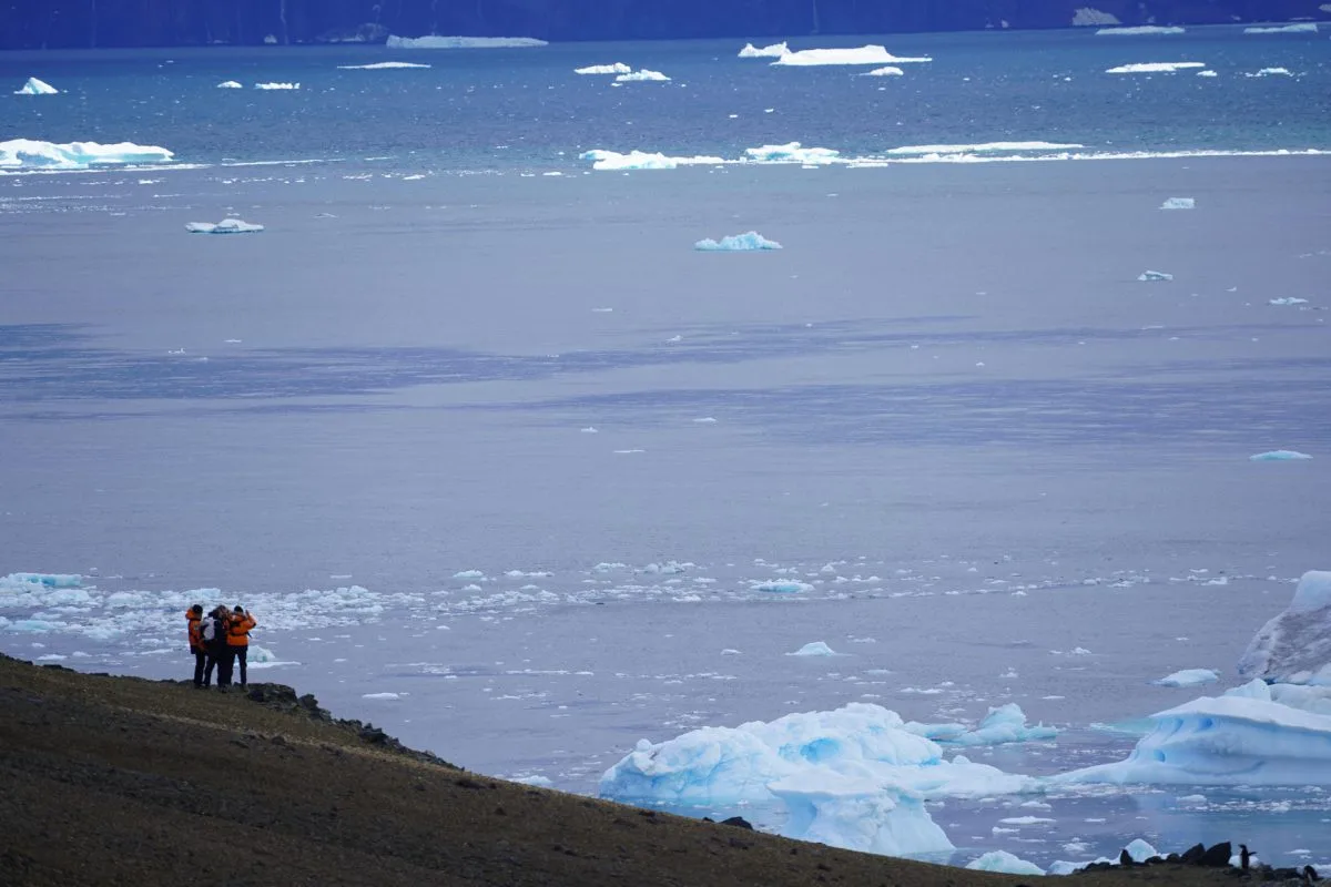 Llamamiento a resguardar la biodiversidad en el Día de la Antártica Chilena