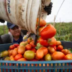 México registra un déficit comercial de 252 millones de dólares en octubre