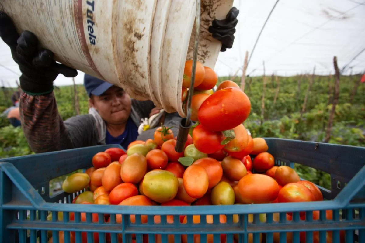 México registra un déficit comercial de 252 millones de dólares en octubre