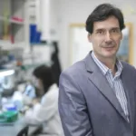 Un estudio revela que la vitamina B12 es clave en reprogramar células y regenerar tejidos