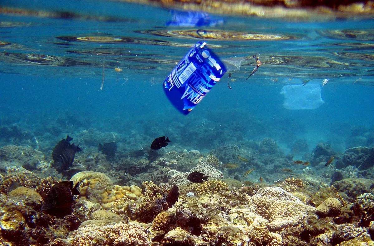 Un millón de toneladas de aditivos plásticos acaban en el mar cada año, según un informe