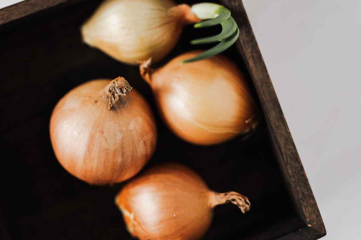 Cebolla para todo: cómo aprovechar al máximo este ingrediente y mantenerlo fresco