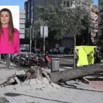 Ciarán se cobra su primera víctima: Júlia Rodríguez Maeso, una joven de 23 años fallece por la caída de un árbol en Madrid