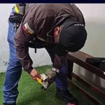 ¿Soborno en el fútbol ecuatoriano? Hallan más de 5 mil dólares en camerino de árbitros