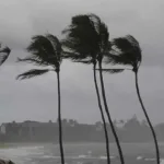 Qué hacer antes, durante y después de un huracán para minimizar los daños