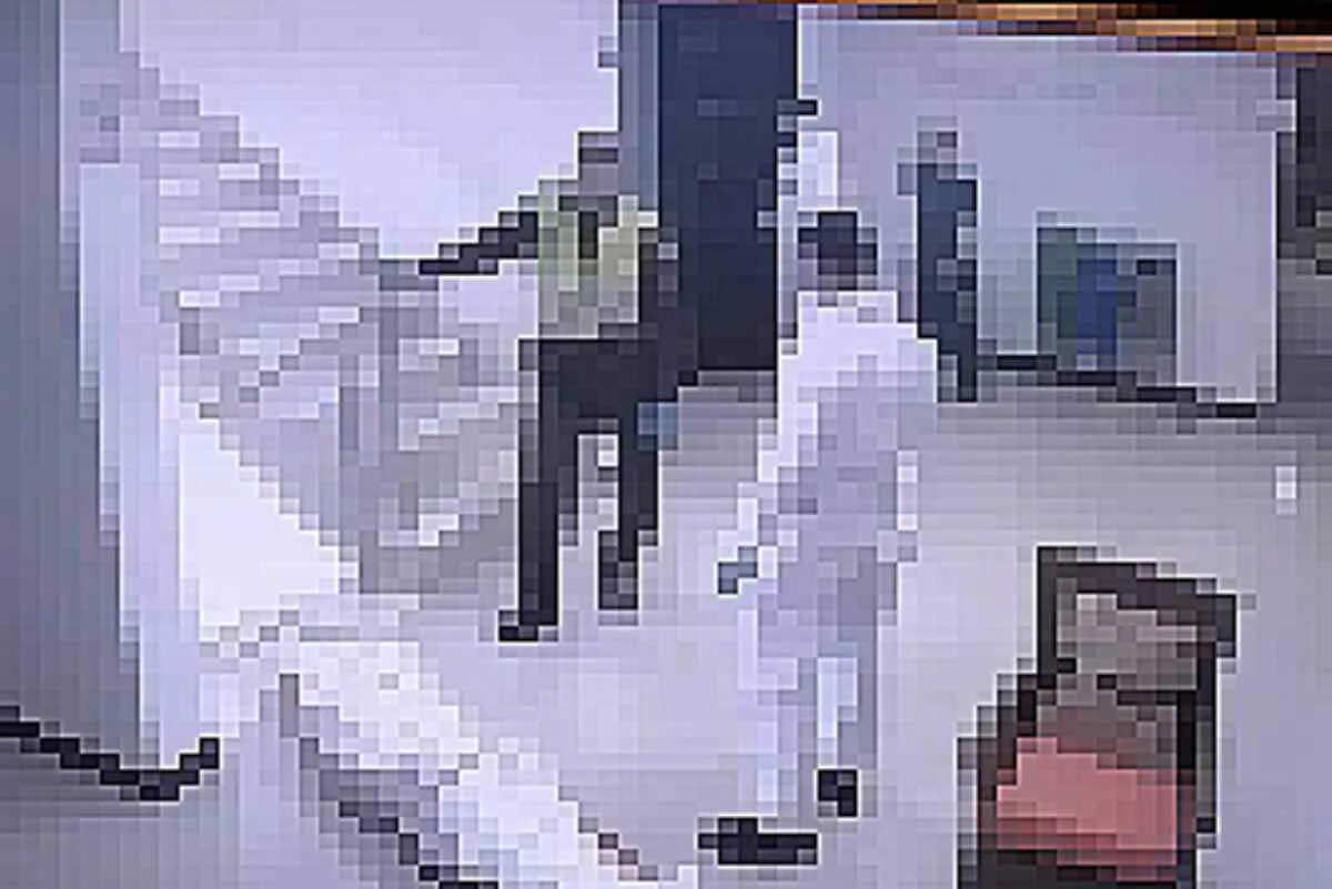 Hewett Jeffrey Hutson-turista muerto hotel medellin- Joven de 18 años, presunta asesina de un turista estadounidense en un hotel de El Poblado