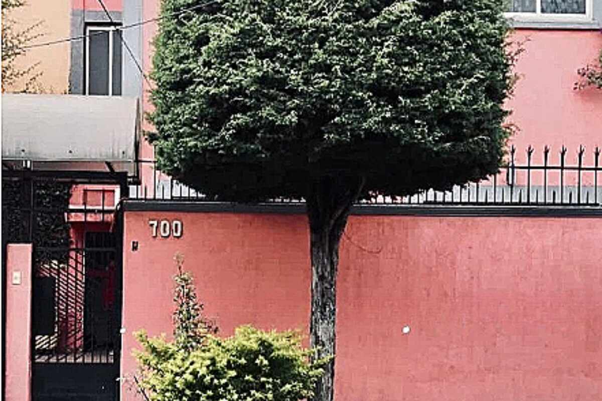 Ana García, una estudiante del Instituto Politécnico Nacional (IPN), fue hallada sin vida en el baño de una casa donde rentaba junto con sus amigas, en la colonia Lindavista, en la alcaldía Gustavo A. Madero de la CDMX.