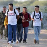 EE.UU. detuvo a 242.000 migrantes en la frontera sur en noviembre, dato similar a octubre