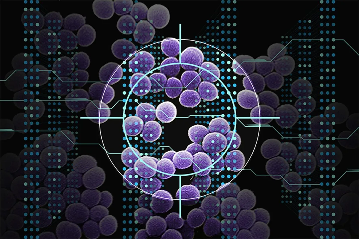 La IA identifica nuevos candidatos a antibióticos contra una bacteria resistente