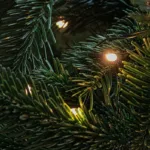 Los secretos científicos para escoger el árbol de Navidad perfecto