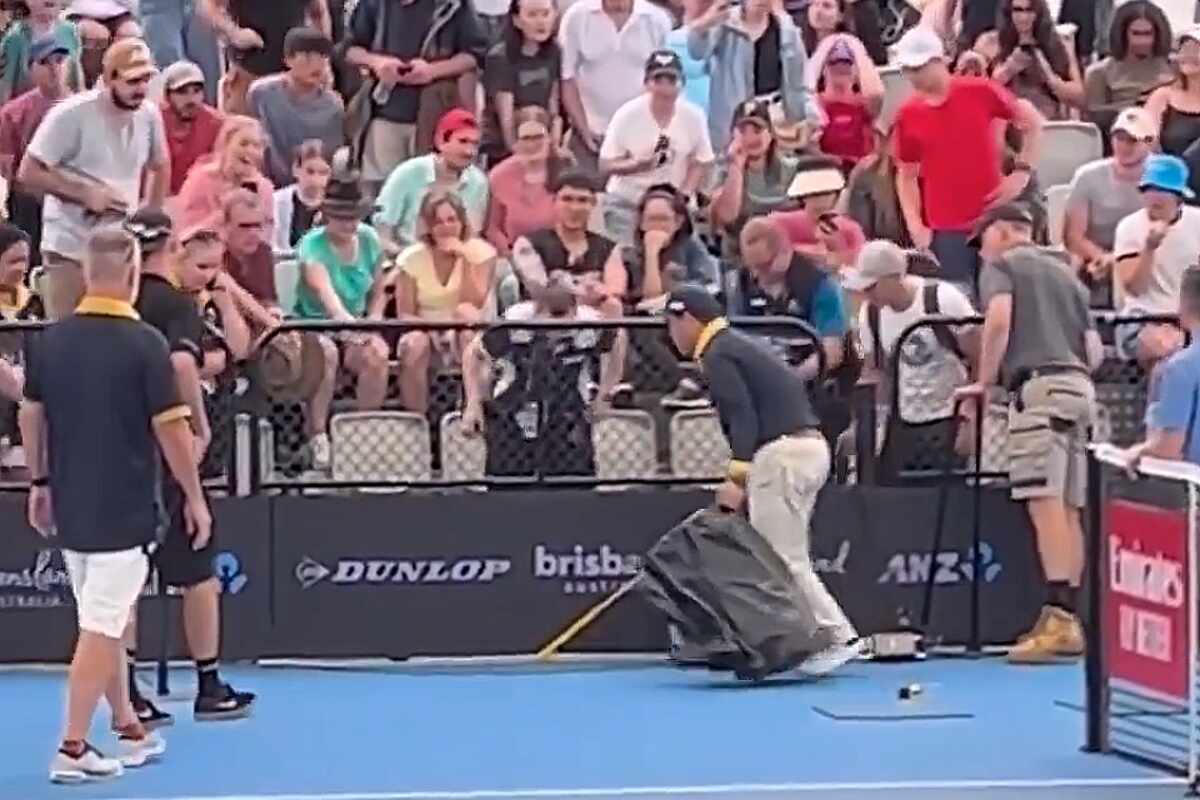 Susto en Brisbane: una serpiente venenosa se cuela en la cancha de tenis