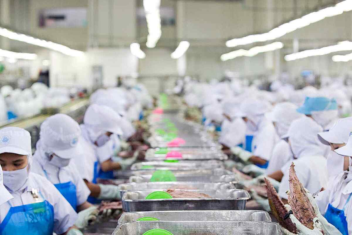 Mintrabajo alerta sobre trabajadoras de atún y flores que usan pañales desechables por falta de tiempo para ir al baño