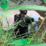 Crimen atroz: matan a un joven a tiros y puñaladas y lo lanzan a una quebrada en Medellín