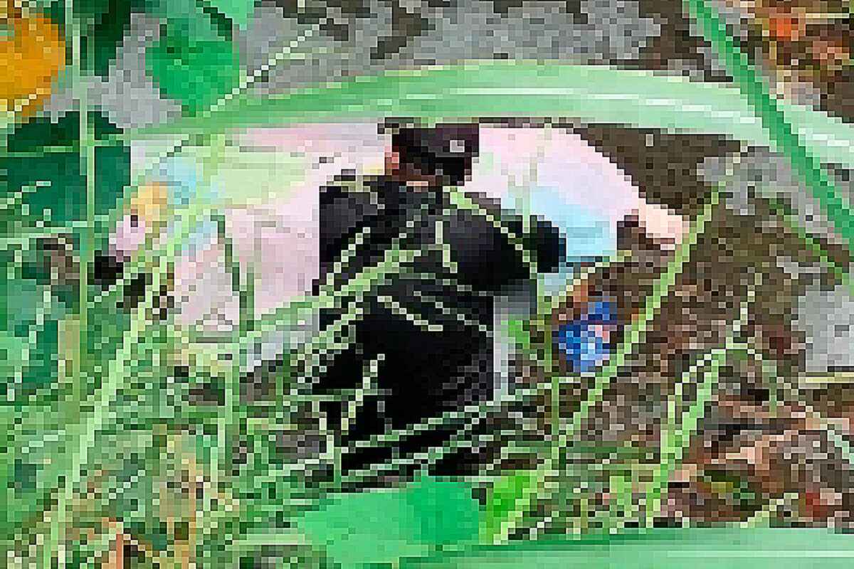 Crimen atroz: matan a un joven a tiros y puñaladas y lo lanzan a una quebrada en Medellín
