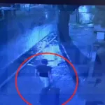 Lanús: un video muestra cómo el hijo de un jubilado lleva su cuerpo descuartizado en una valija