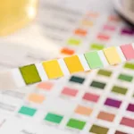 Aprende a medir el pH de tu cuerpo en casa con este método sencillo