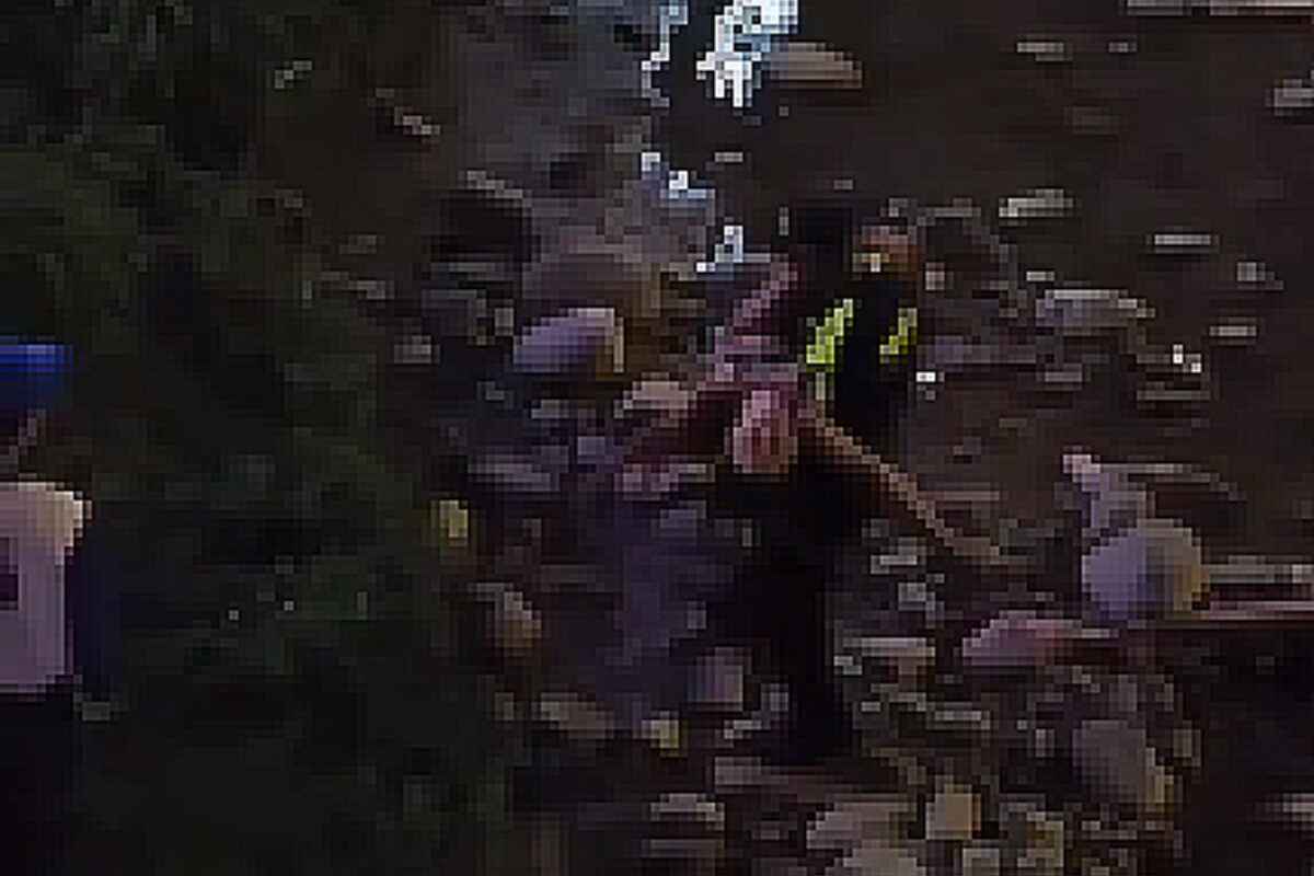 Rescate dramático: una mujer es arrastrada por el río Medellín y logran sacarla con vida