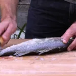 Guía Práctica: Pasos Sencillos para Descamar un Pescado como un Experto