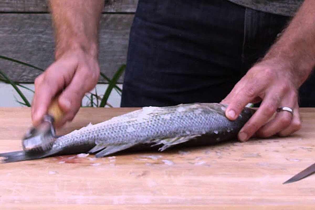 Guía Práctica: 5 Pasos Sencillos para Descamar un Pescado como un Experto