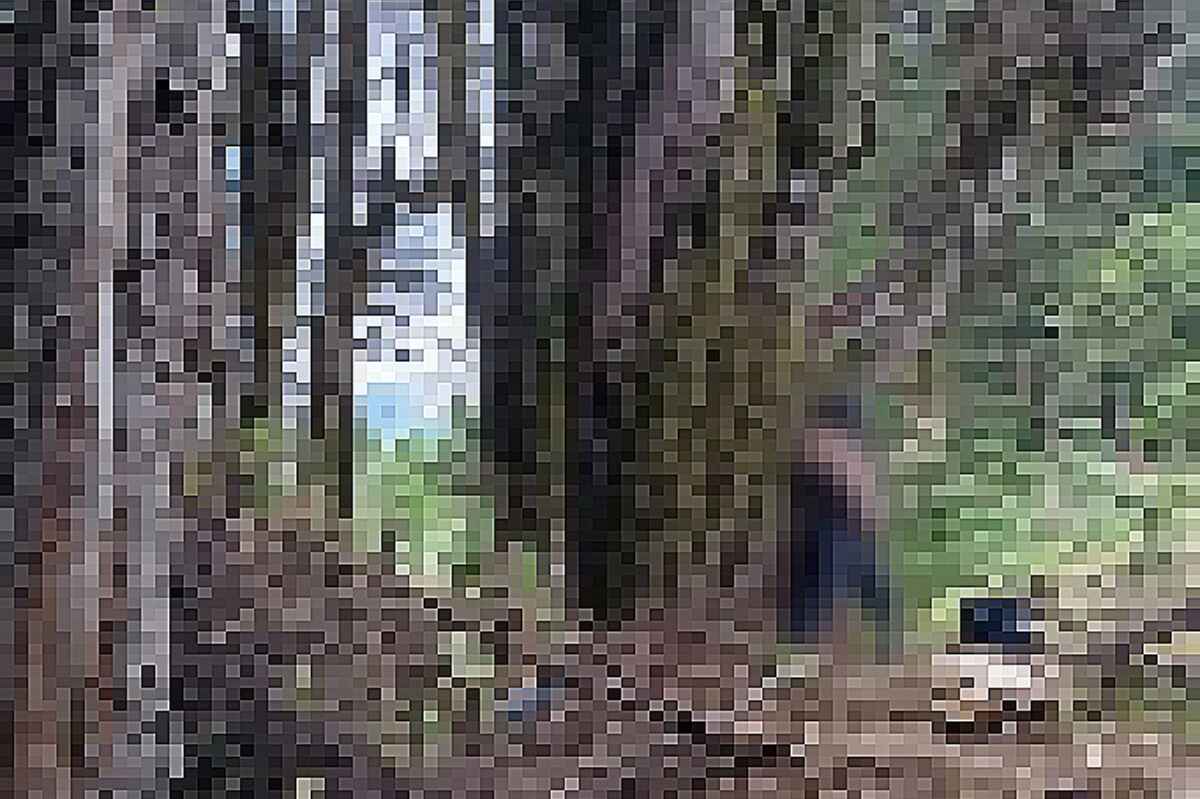 Feminicidio en Bogotá: una mujer es estrangulada y amarrada a un árbol en vía al cerro de Guadalupe