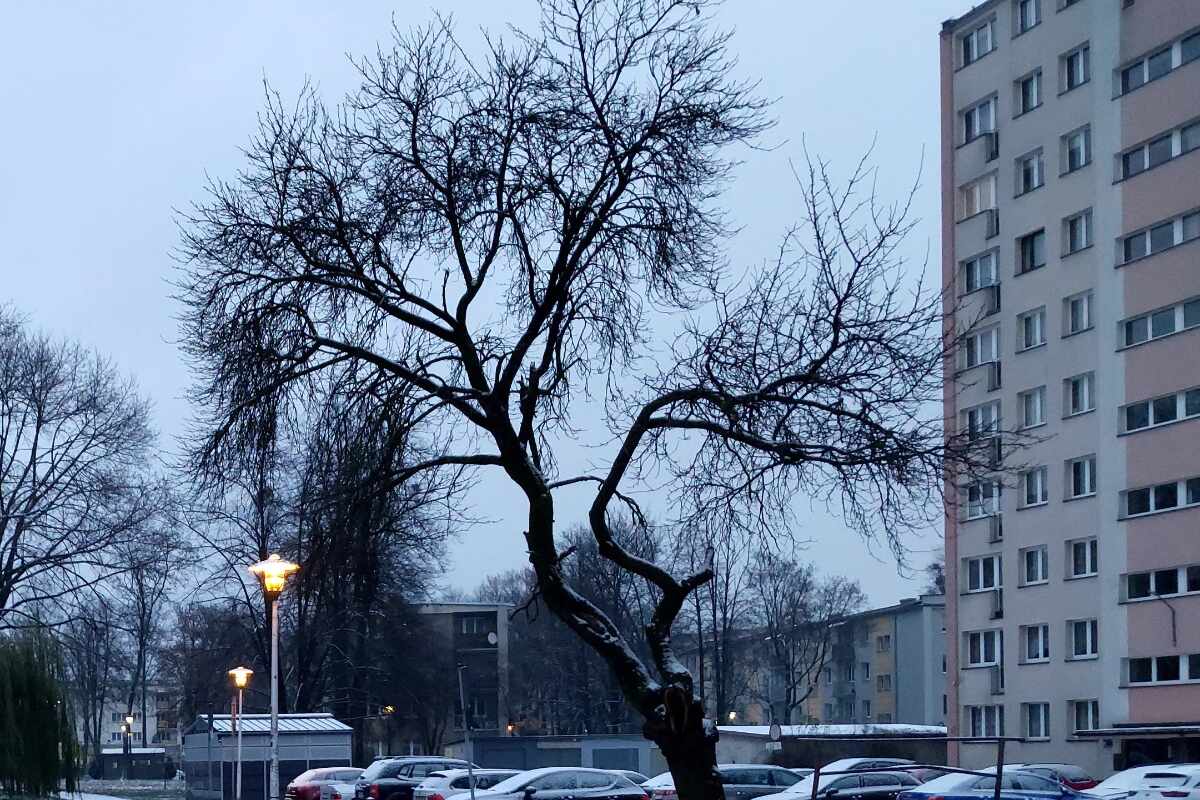 Tragedia en Polonia: matan a un colombiano en una riña entre compatriotas