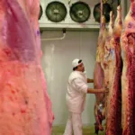 Argentina vuelva a exportar carne de vacuno sin restricciones