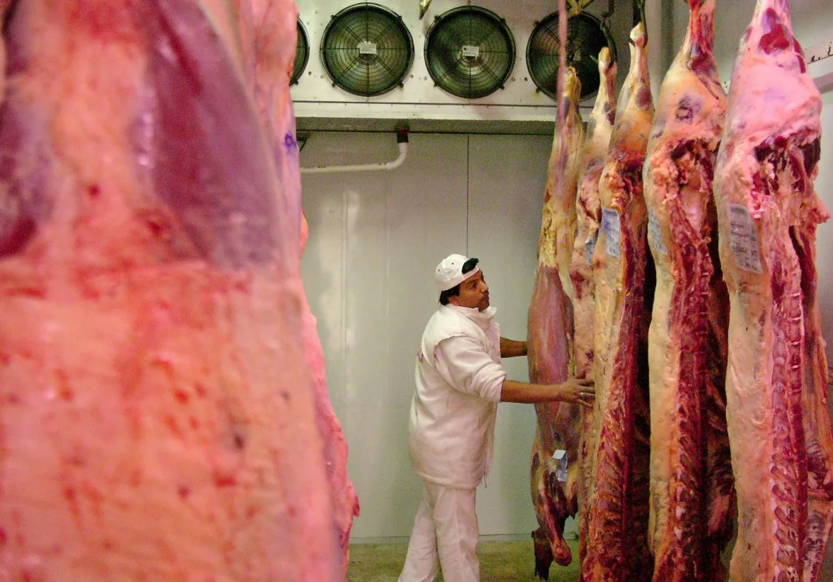 Argentina vuelva a exportar carne de vacuno sin restricciones
