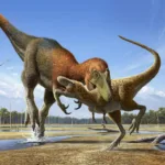Fósiles de ejemplares jóvenes de T. rex son en realidad otra especie de dinosaurio