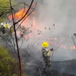 Incendios forestales arrasan más de 300 hectáreas en departamento colombiano de Santander