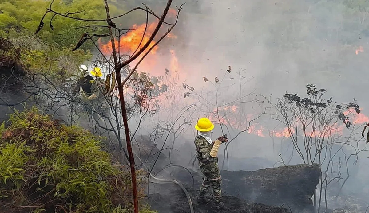 Incendios forestales arrasan más de 300 hectáreas en departamento colombiano de Santander