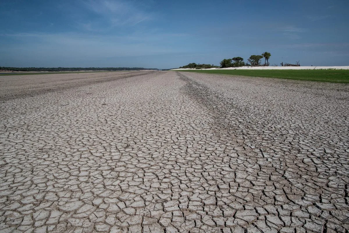 La crisis climática fue la principal impulsora de la sequía en la Amazonía en 2023